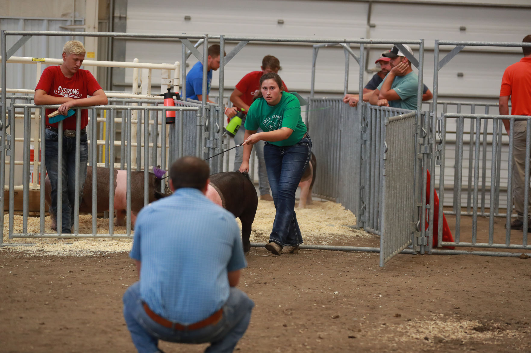071119_HallCoFair26_bjs.JPG